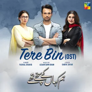 Tere Bin - Hum Kahan Ke Sachay Thy OST Song Poster