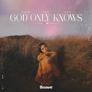  God Only Knows Song Poster